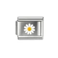 White Daisy Pattern Module (41-01) / 1 Piece/Pack