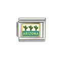 ARIZONA Cactus Pattern Module (41-09) / 1 Piece/Pack