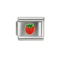 Strawberry Pattern Module (41-12) / 1 Piece/Pack