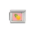 Cartoon Pineapple Pattern Module (41-13) / 1 Piece/Pack