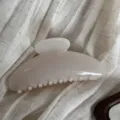 Simple Fan-Shaped / Transparent White