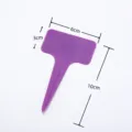 100 Pieces/Pack / Purple