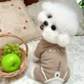 Small white dog wearing a brown-and-white striped one-piece outfit, seated on a bed - XS / Brown