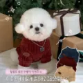 White dog in a ribbed burgundy sweater with a high neck, beside three sweater color options. - XS / Blue