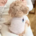 Vista trasera de un perro pequeño y rizado con una prenda de punto rosa claro y un oso bordado. - XS / Marrón