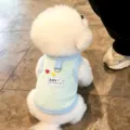 Close-up of a white dog in a pale blue striped vest with back leash ring and bear label - S / Green