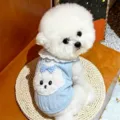 Detail van een witte hond met blauw gebreid vest, kanten kraag, geruite strik en hondenapplicatie - S / Tops / Blauw