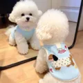 Witte hond in een lichtblauw gebreid vest met teckelborduurwerk, naast zijn spiegelbeeld - S / Tops / Ruglengte 25cm (Aanbevolen 1,5-2kg) / Blauw
