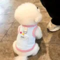 Small white dog wearing a blue-and-white striped vest with pink trim, buttons and leash ring - XS / Pink