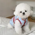 Petit chien blanc portant un gilet bleu à motif cartoon et bordure rouge sur une literie claire - XS / Dinosaure Bleu