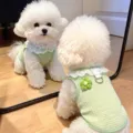 S / Verde