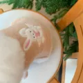 Close-up of a beige plush pet garment with a raised bunny applique and soft white fuzzy trim - XS / Tops / Beige