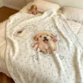 Golden Retriever (FMTA238006)