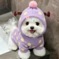 Primer plano de un perro blanco pequeño con capucha de punto morada, lunares amarillos y pompón rosa - XS / Púrpura