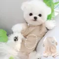 Small dog winter outfit with beige top, bear patch and orange striped pants, shown on a fluffy dog - XS / Beige Bear