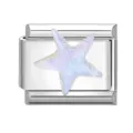 Iridescent Starfish (6083897940633) / Silver