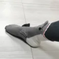 Requin à Ligne Rouge