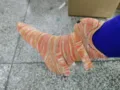Caméléon