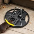 Trappola per Topi Circolare
