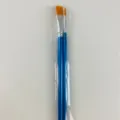 2-Piece Blue Wood Brushes