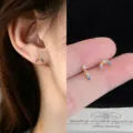 Asymmetric Colorful Zirconia Style (2494)