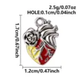 Anatomical Heart Style (B463-S) / Silver