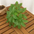 Schefflera Vert / Diamètre environ 35cm