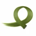Bamboo Green