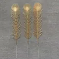 Fern Leaf