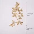 Nandina