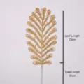 Peacock Tail