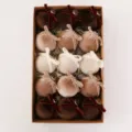 6cm 15 Pieces/Box / Brown (With Bows)