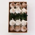 6cm 15 Pieces/Box / Green (With Bows)