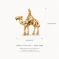 Stile Cammello Lucido Oro Brillante