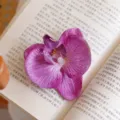 Roze Paars Bloemhoofd