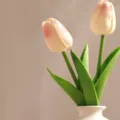 Tulpenbloem