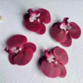 Bourgondië Bloemhoofd