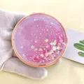 7.3cm / Peach Pink (Rose Gold Frame)