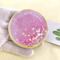 7.3cm / Peach Pink (Gold Frame)
