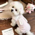 S / Tops / Pink White Stripes