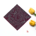 Rouge Vin Argent Paisley (h)