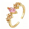 Pink Marquise Style (TJ388)
