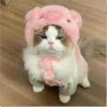 Taglia M / Cappello da Maiale