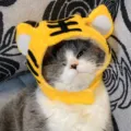 Cappello da Tigre
