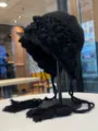 Negro