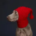 S / Red