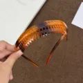 Tortoise