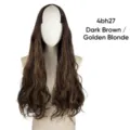 Goldblond Highlights (4BH27)