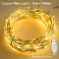 Kupferdrahtlicht / 2 Meter 20 LEDs / Warmweiß / USB Immer an