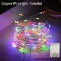 Kupferdrahtlicht / 2 Meter 20 LEDs / bunt / Batteriebox (Blinkend)